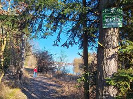 401 224 Sychrovský rybník - kontrola 13.3.26 (1).jpg